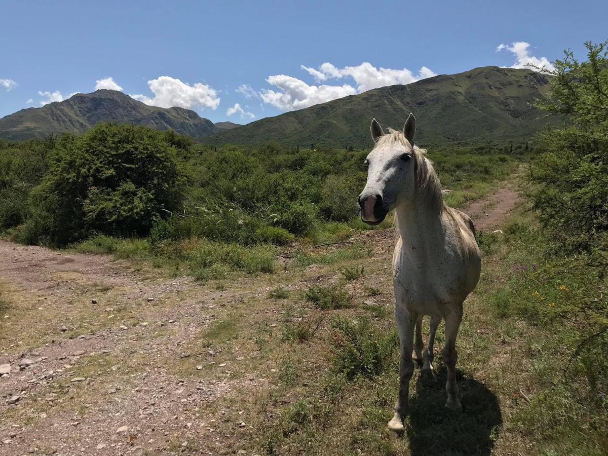Taos Pueblo 3*